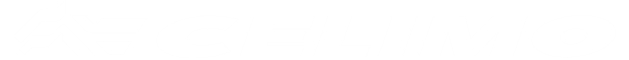 CELIMO Logo